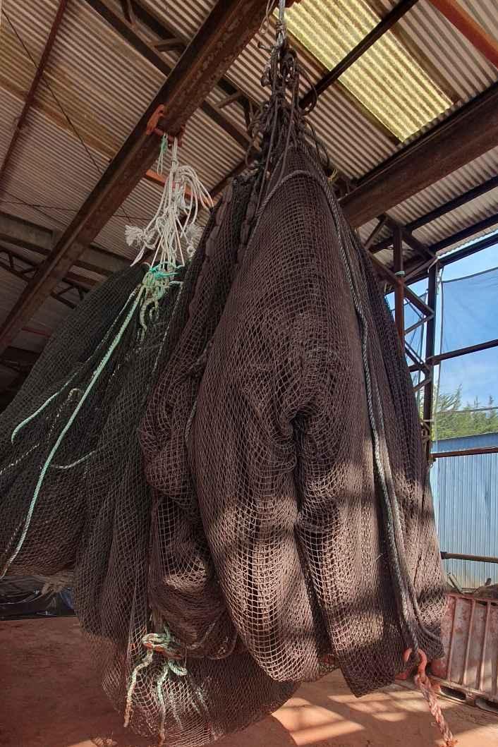 Pinturas Antifouling NTSCs-100 y NTSCs-500 2