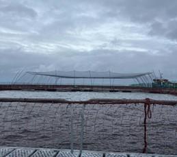 Redes Torcidas Sin Nudo de Polietileno 3